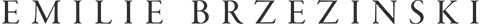 Brzezinski Art Logo